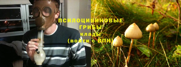 СК Володарск