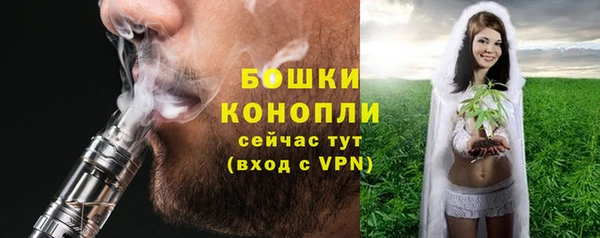 мдпв Верхний Тагил